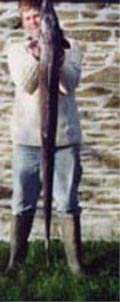 Good big dog fish