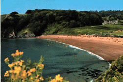 Porthluney beach with Caerhays Castle in the background