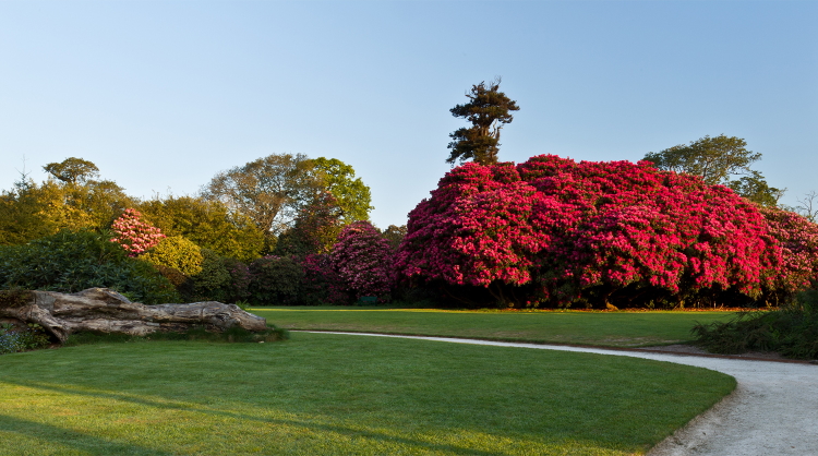 The Lost Gardens of Heligan