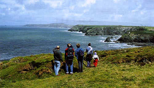 walkers.jpg - 49486 Bytes